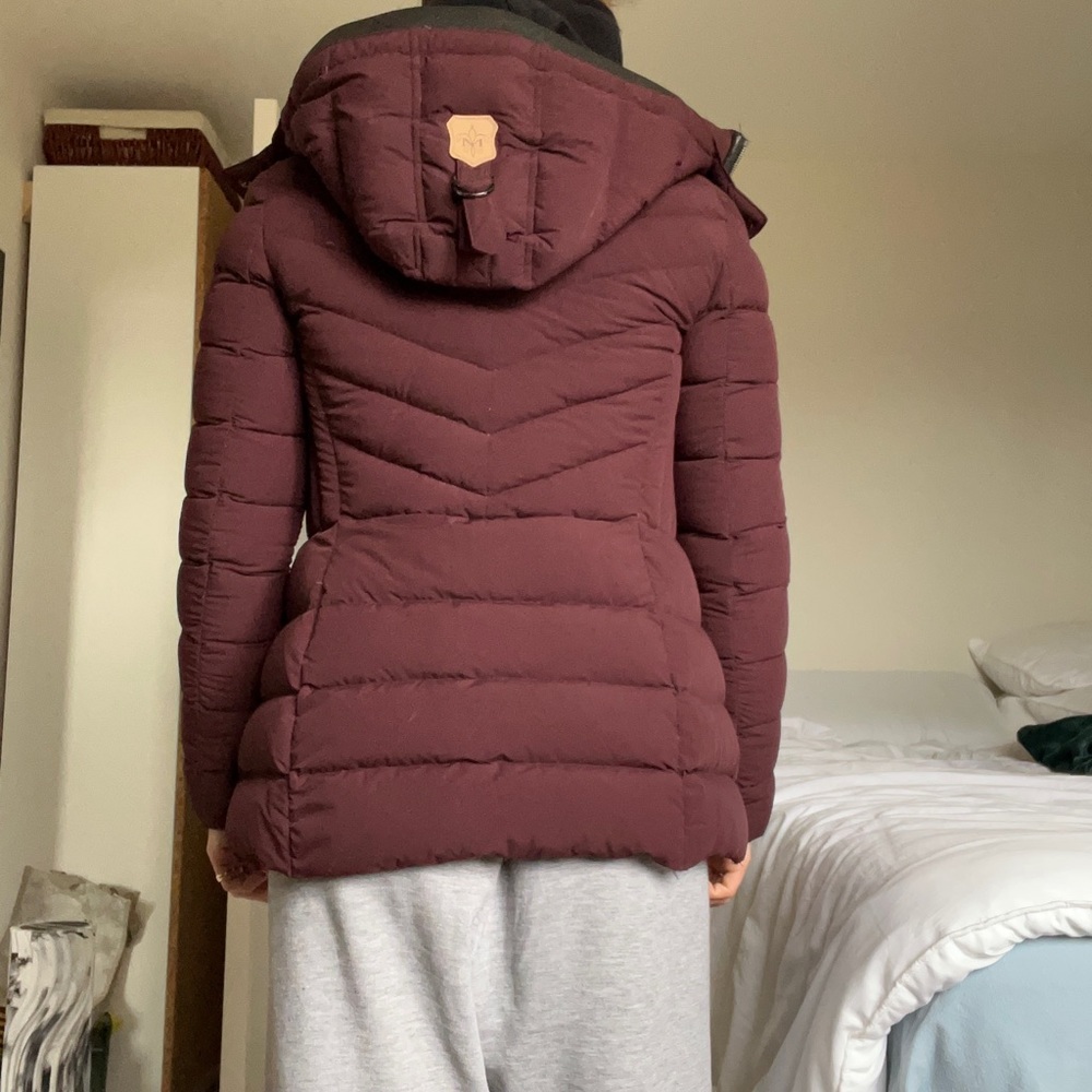 Mackage Burgundy jacket good condition xs - Picture 2 of 5